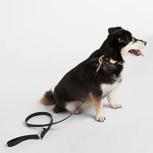 Faux Leather Dog Leash & Bag Set Black Color.
